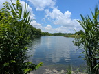 buscreek490