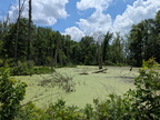 Busseron Creek FWA