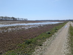 ccfarm504