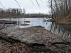 treelake440