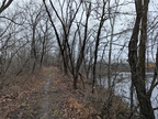 treelake441