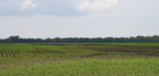 marcofield1001