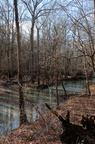 creek350