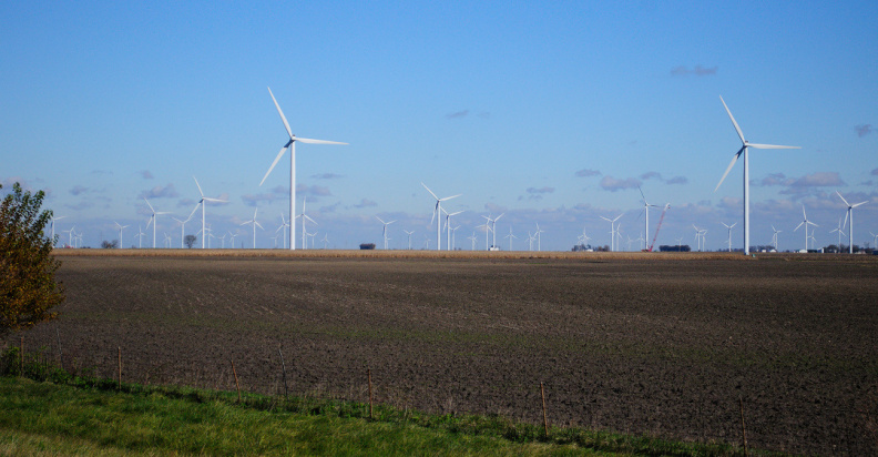windmills250.jpg
