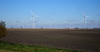 windmills250