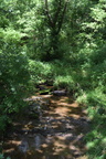 creek599