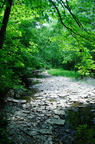 creek671