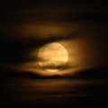 moon440.jpg