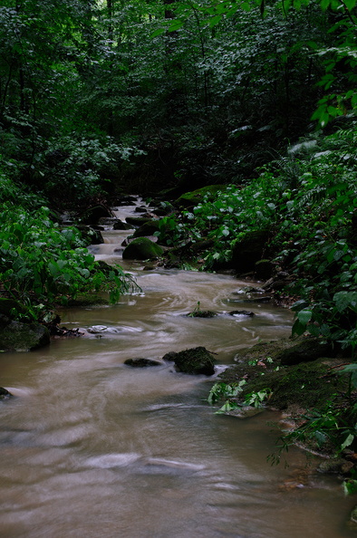 creek380.jpg