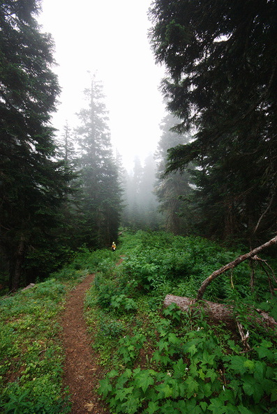 pct499