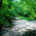 creek671.jpg